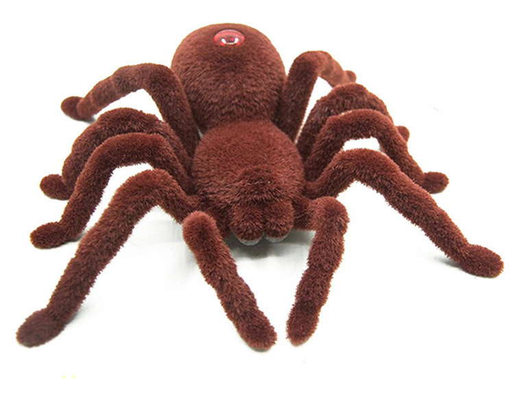 The spider toy - Picture 5 of 5